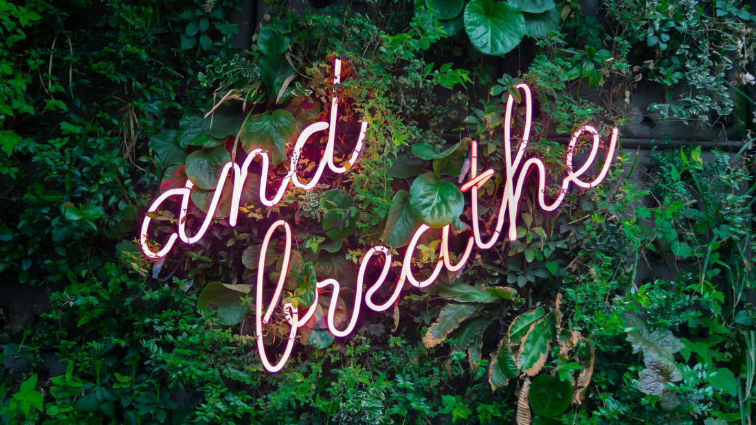 Your Guide To Breathwork: The Benefits of Mindful Breathing.