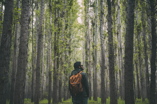 The 5 Best Hiking Tracks within 2 Hours of Melbourne