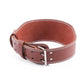 FAUX LEATHER WEIGHTLIFTING BELT